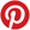 Logo-Pinterest-Bioparc1 30x30